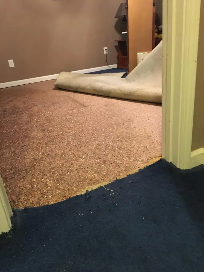 Carpet pad removal revealing water damage during Drying & Dehumidification in Toledo