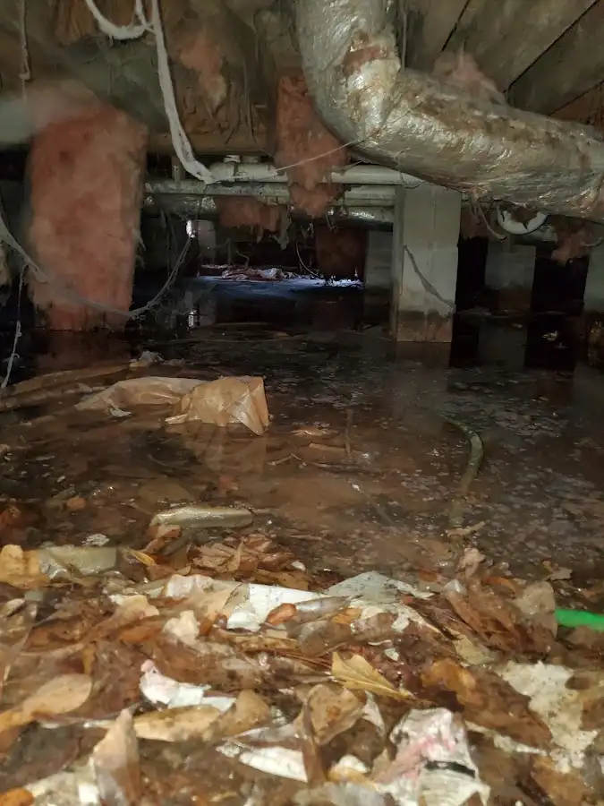 Crawl space flood assessment for Leak Detection & Repair in Toledo
